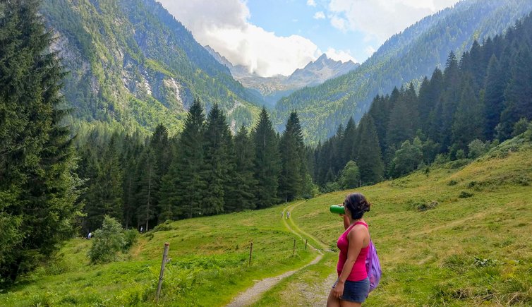 Vista di Valpiana e cime del gruppo della Presanella