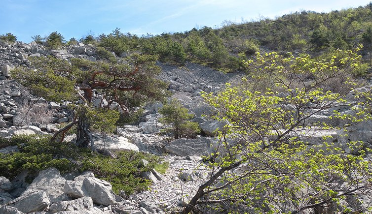 sentiero marocche di dro