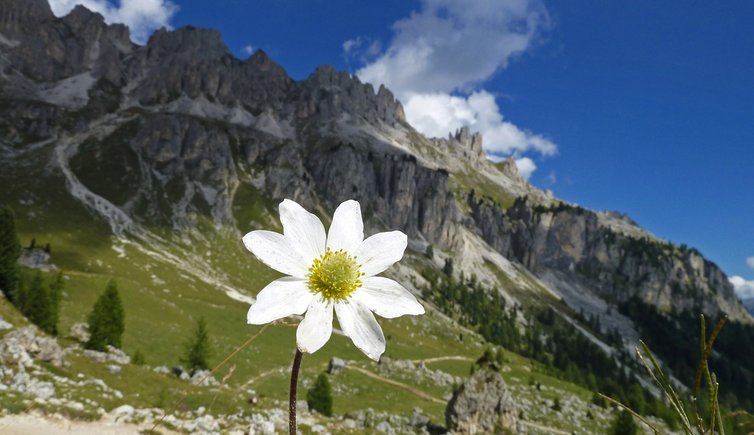 escursione sotto catinaccio