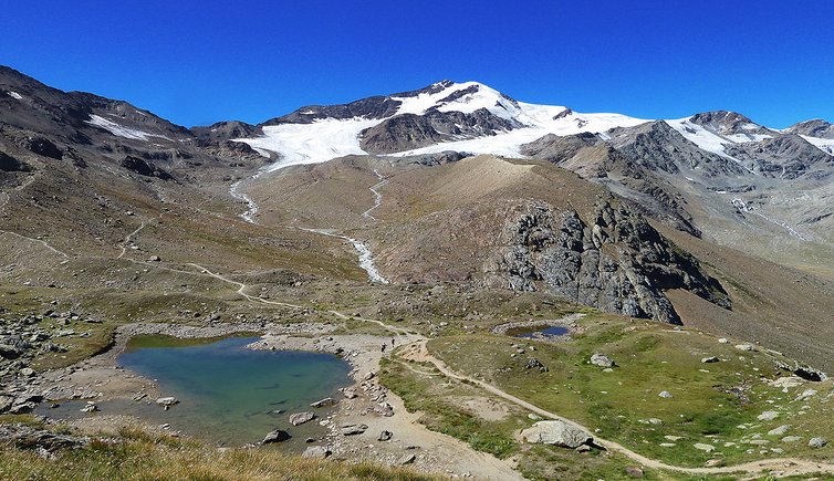 parco nazionale dello stelvio cevedale martello