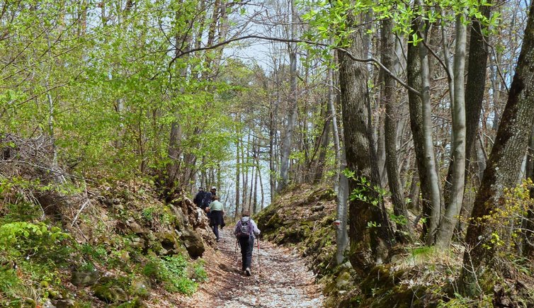 escursione monte calisio