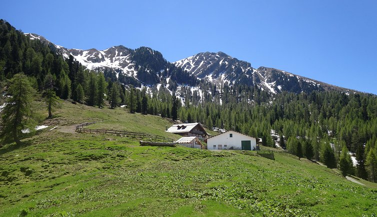 malga dal sass valfloriana