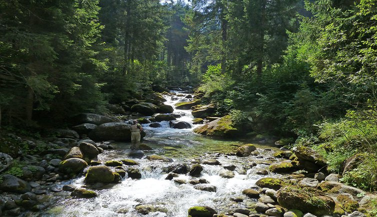 torrente rio meledrio