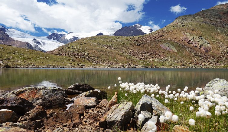 escursione rifugio larcher cevedale lago marmotte