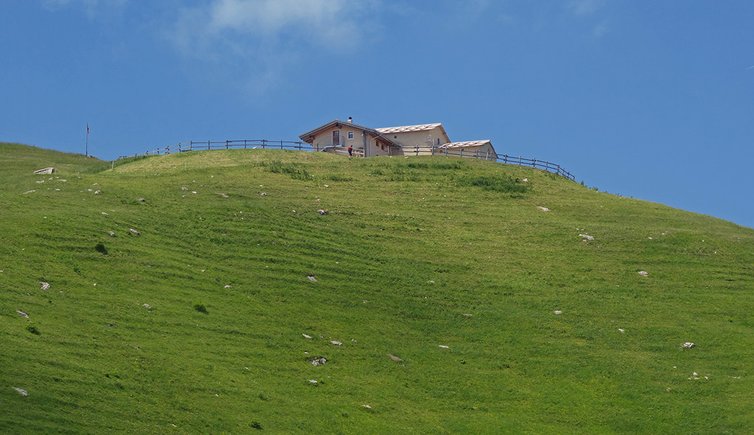 rifugio malga campei