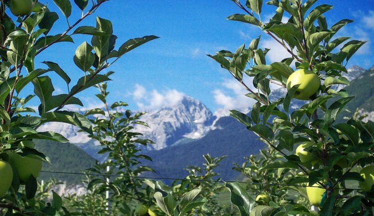 strada delle mele trentino