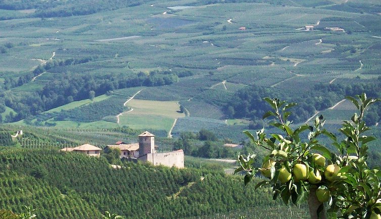 castel belasio o castel belasi