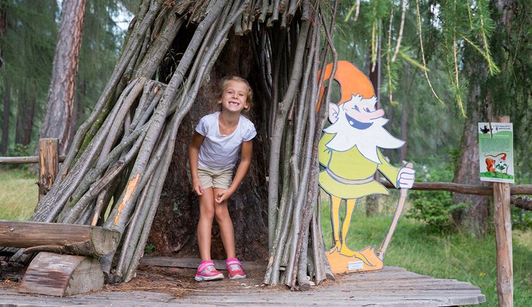 il bosco nascosto di daiano folletto persona