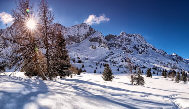 Adobe Stock earlybooking trentino inverno alba