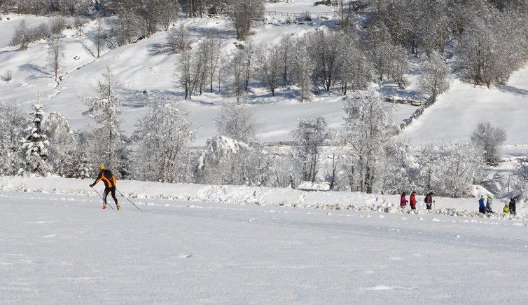 langlauf im ridnauntal