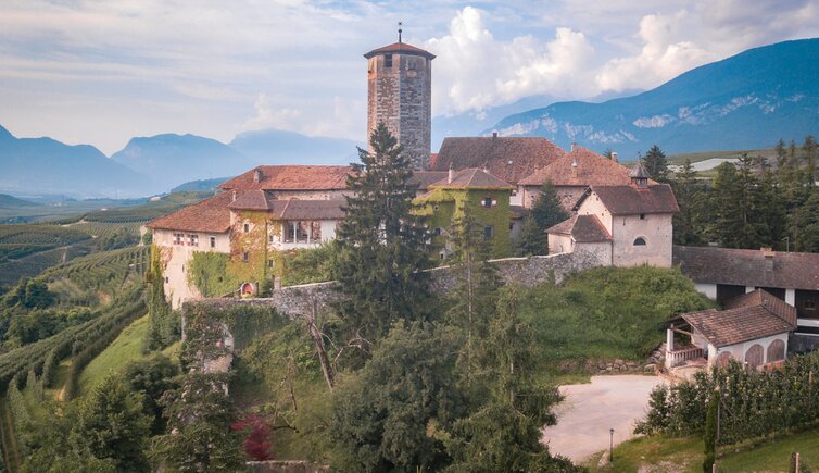 Castel Valer estate ApT Val di Non Tassullo (C)Paolo Crocetta Green Fly 