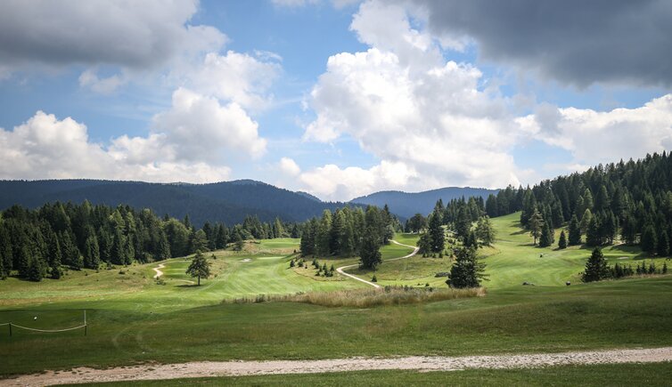 Copertina golf