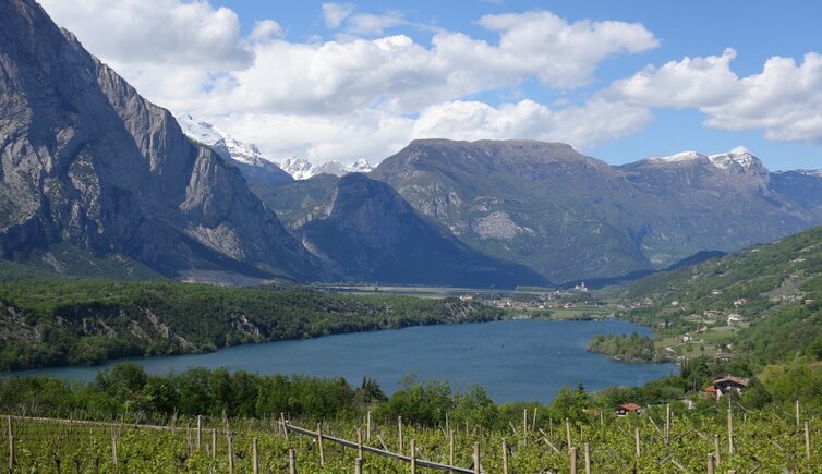 Copertina AT PeerRS C lago di cavedine