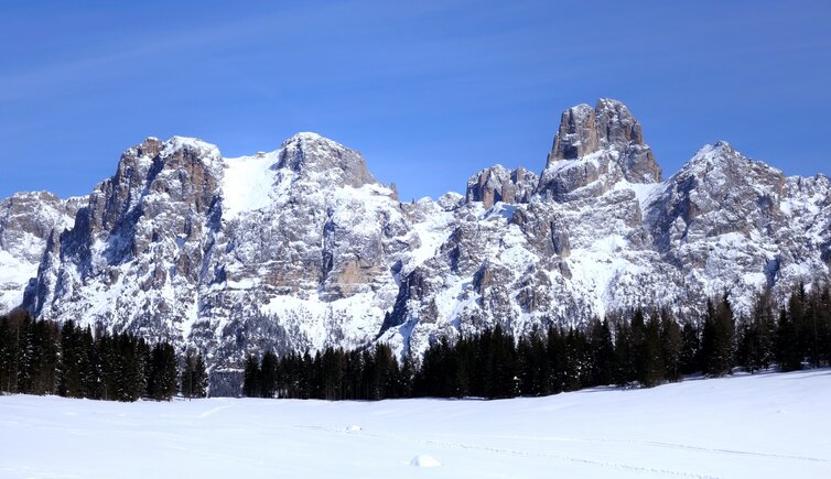 RS C pale di san martino inverno da calaita 