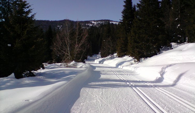 Sonima ski trails