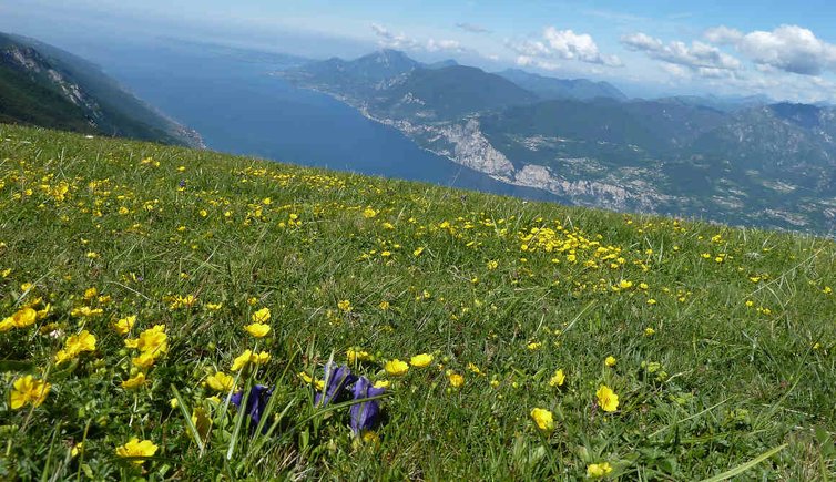 clima primavera in trentino