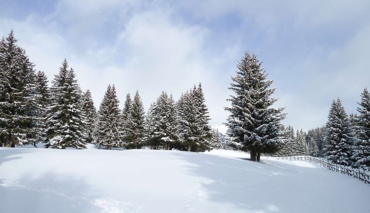 clima trentino inverno