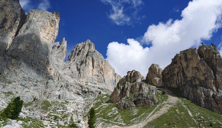 copertina Le Dolomiti DSC