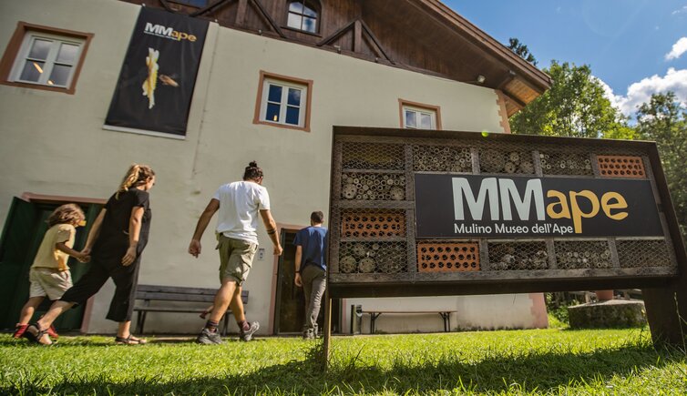 copertina MMape Incontro con apicoltore Ph Tommaso Prugnola Archivio A P T Val di Sole 