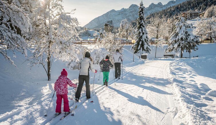 copertina phmatteodestefano andalo montagna neve winter inverno sci