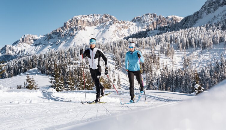 copertina Panorami e sci di fondo sull'altipiano di Lavaze Pg visitfiemme it ph Gaia Panozzo 