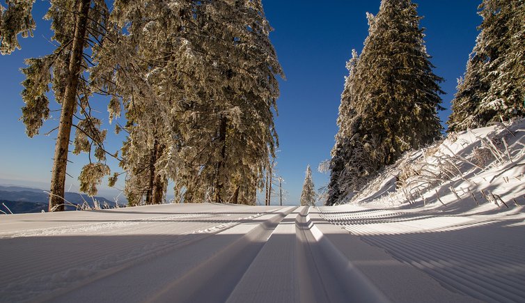 hschmider cross country ski trail