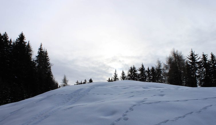 madonna di campiglio