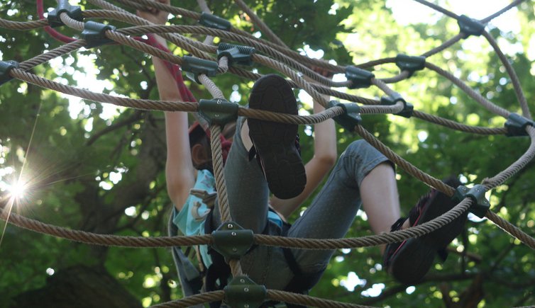 modi climbing forest