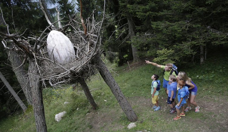 sentiero tematico Forestadei Draghi predazzo valdifiemme trentino ph Modica 