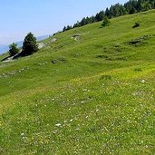 trentino malga bodrina panorama