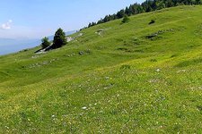 trentino malga bodrina panorama